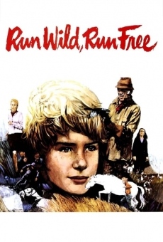 Run Wild, Run Free stream online deutsch