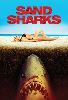 Beach Shark en ligne gratuit