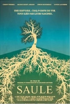 Película: Saule