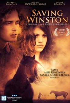 Saving Winston streaming en ligne gratuit