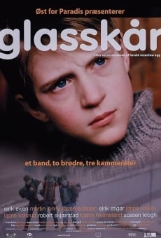 Glasskår streaming en ligne gratuit