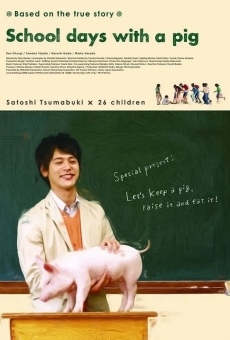 Ver película School Days with a Pig