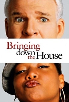 Bringing Down the House stream online deutsch