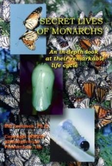 Secret Lives of Monarchs online