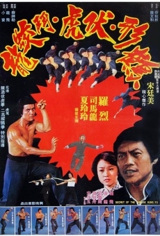 Secret of the Chinese Kung Fu