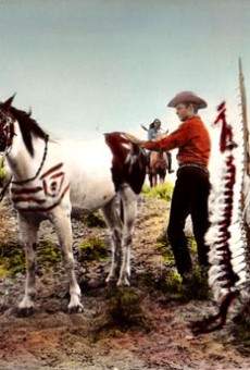 Six chevaux dans la plaine