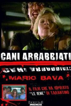 Cani arrabbiati gratis