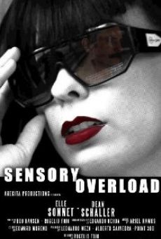 Watch Sensory Overload online stream