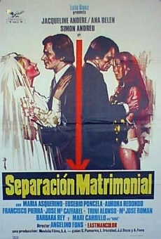 Separación matrimonial on-line gratuito