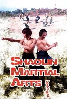 Shaolin Martial Arts gratis