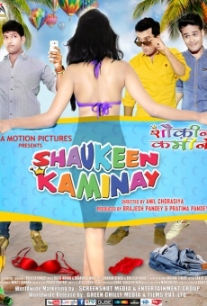 Ver película Shaukeen Kaminay