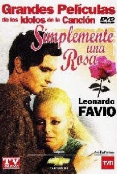 Simplemente una rosa online free