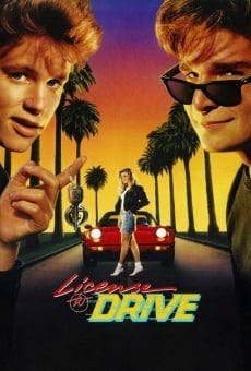 License to Drive online