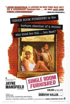 Single Room Furnished online streaming