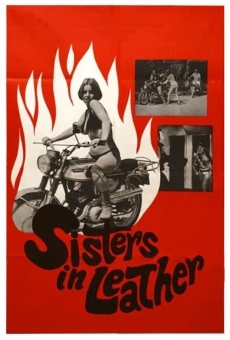 Watch Sisters in Leather online stream