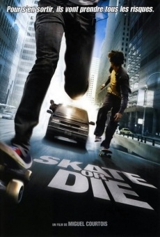 Skate or Die online free