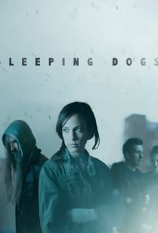 Sleeping Dogs online