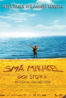 Ver película Små mirakel och stora