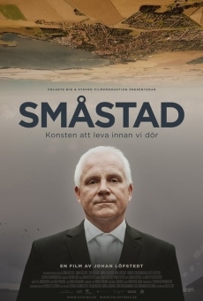 Ver película Småstad