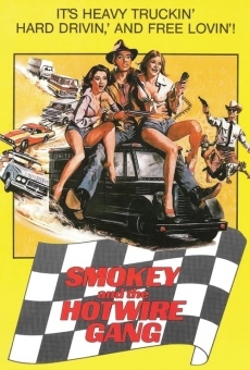 Smokey and the Hotwire Gang stream online deutsch