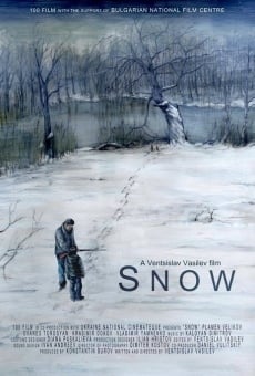 Ver película Nieve