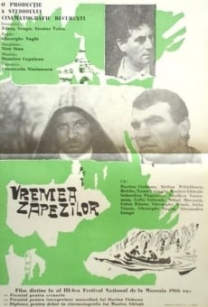 Watch Vremea zapezilor online stream