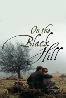 On the Black Hill