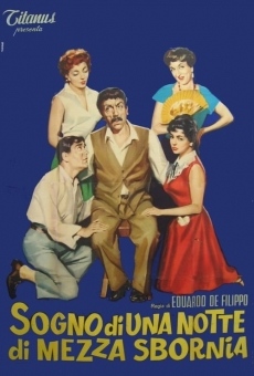 Sogno di una notte di mezza sbornia streaming en ligne gratuit