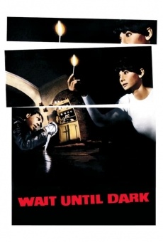 Wait Until Dark on-line gratuito