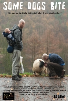 Manche Hunde beissen