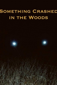 Something Crashed in the Woods (2019)