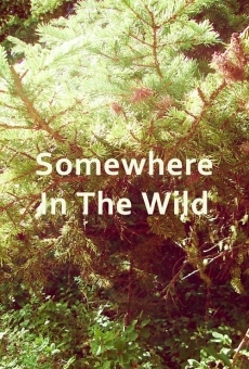 Somewhere in the Wild streaming en ligne gratuit