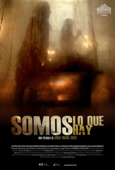 Somos lo que hay (2010)