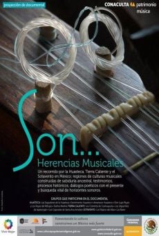 Ver película Son... herencias musicales