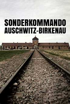 Sonderkommando Auschwitz-Birkenau