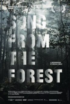 Song from the Forest online kostenlos