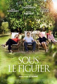 Sous le figuier