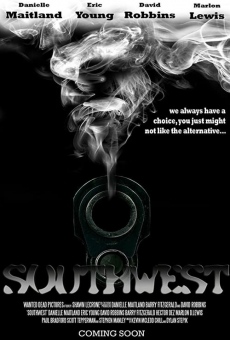 Southwest online streaming