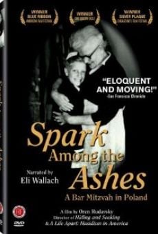 Spark Among the Ashes: A Bar Mitzvah in Poland en ligne gratuit