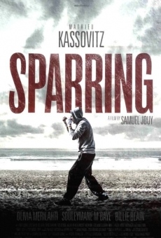 Sparring en ligne gratuit