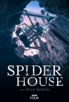 Ver película Spider House