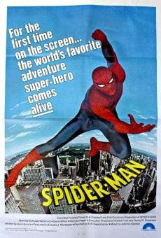 The Amazing Spider-Man online streaming