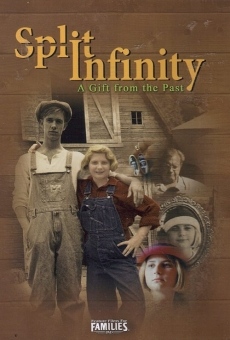 Ver película Dividir el infinito