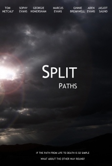 Split Paths online free