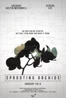 Sprouting Orchids online