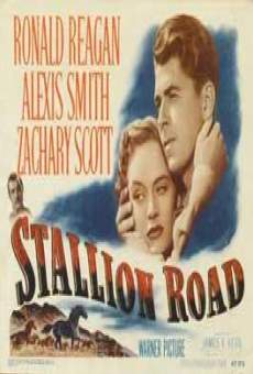 Stallion Road