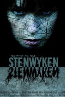 Ver película Stenwyken