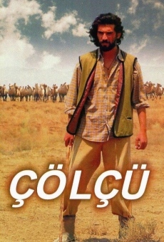 Çölçü