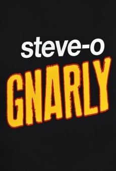 Steve-O: Gnarly online