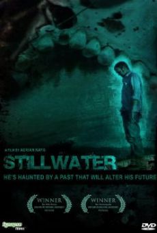 Ver película Stillwater